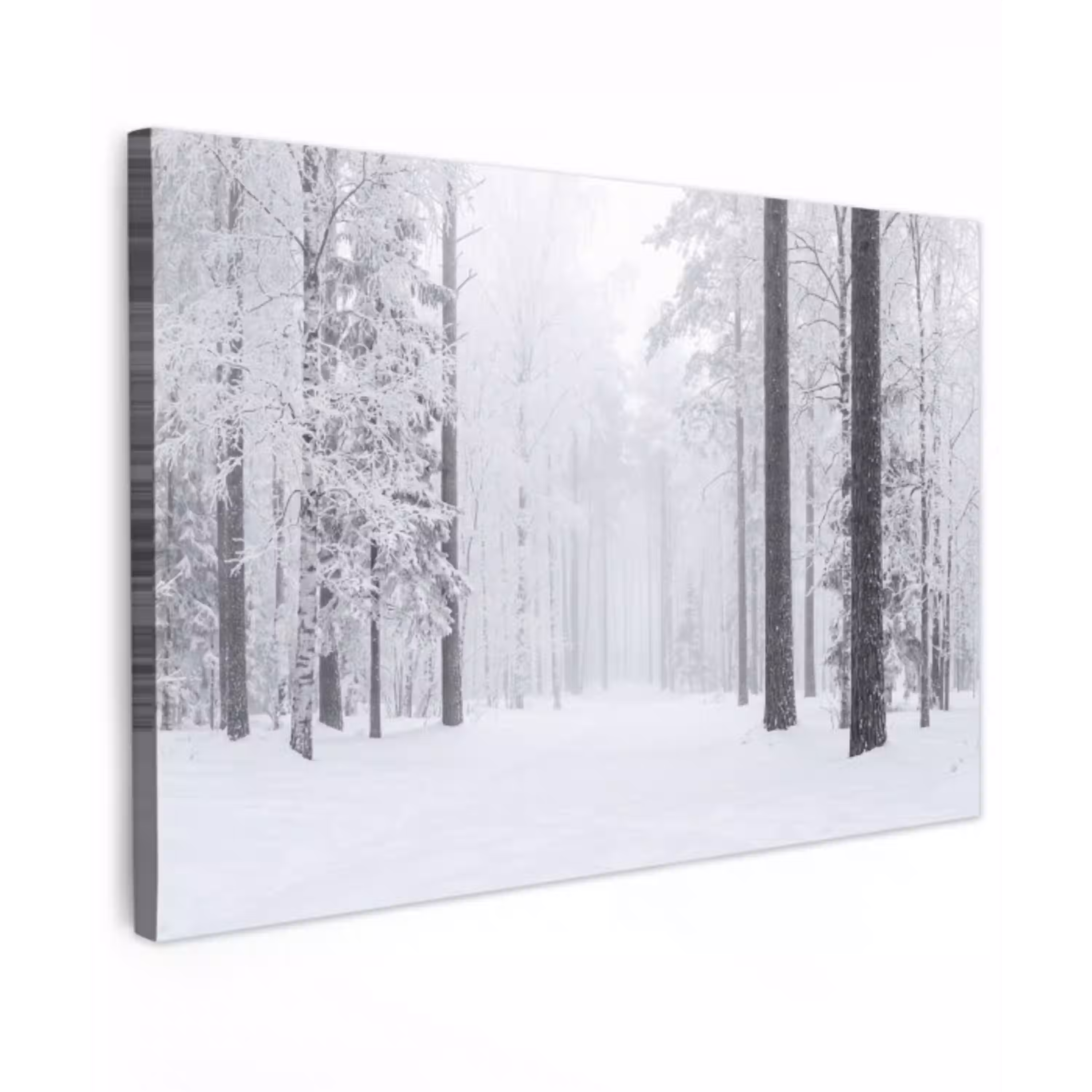 Bos - Sneeuw - Pad - Winter - Stilte Tuinposter op houten frame 2 cm dik klein -3d