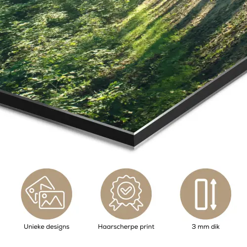 Bos - Pad - Zon - Bomen - Groen - Natuur aluminium wit klein -closeup_NL