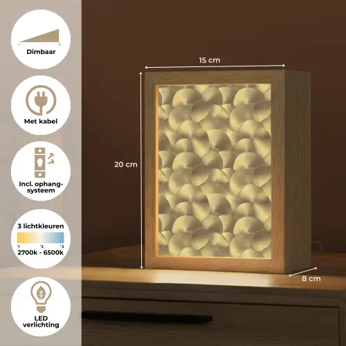Modern - Cirkel - Goud Light Box met kabel (Tafellamp) klein 925 -USP_NL