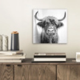 Schotse Hooglander - Dier - Douche - Humor aluminium wit klein -sfeer1