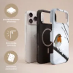 Roodborstje - Tak - Sneeuw - Winter - Levendig Toughcase MagSafe Apple iPhone 17 Pro Max klein -USP_Lagen_NL
