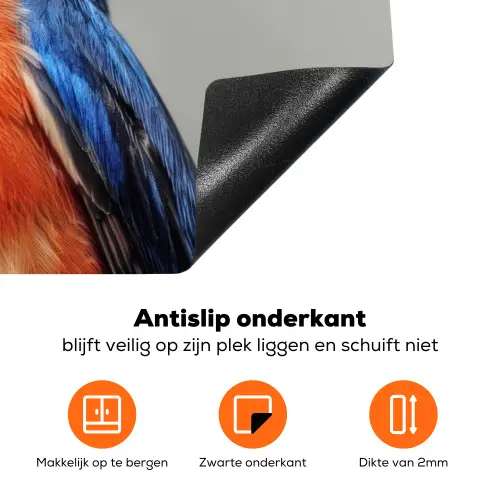 Kleurrijk - Vogeltje - Veren - Blauw Inductie beschermer vinyl 3mm klein -zzzzzzz-td-onderkant