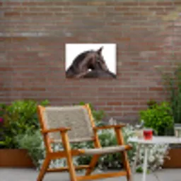 Portret - Paard - Elegant Tuinposter op houten frame 2 cm dik klein -sfeer3