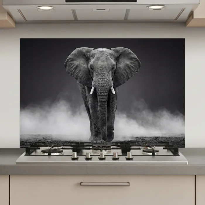 Olifant - Zwart - Wit - Rook keuken achterwand spatscherm klein -3d_website