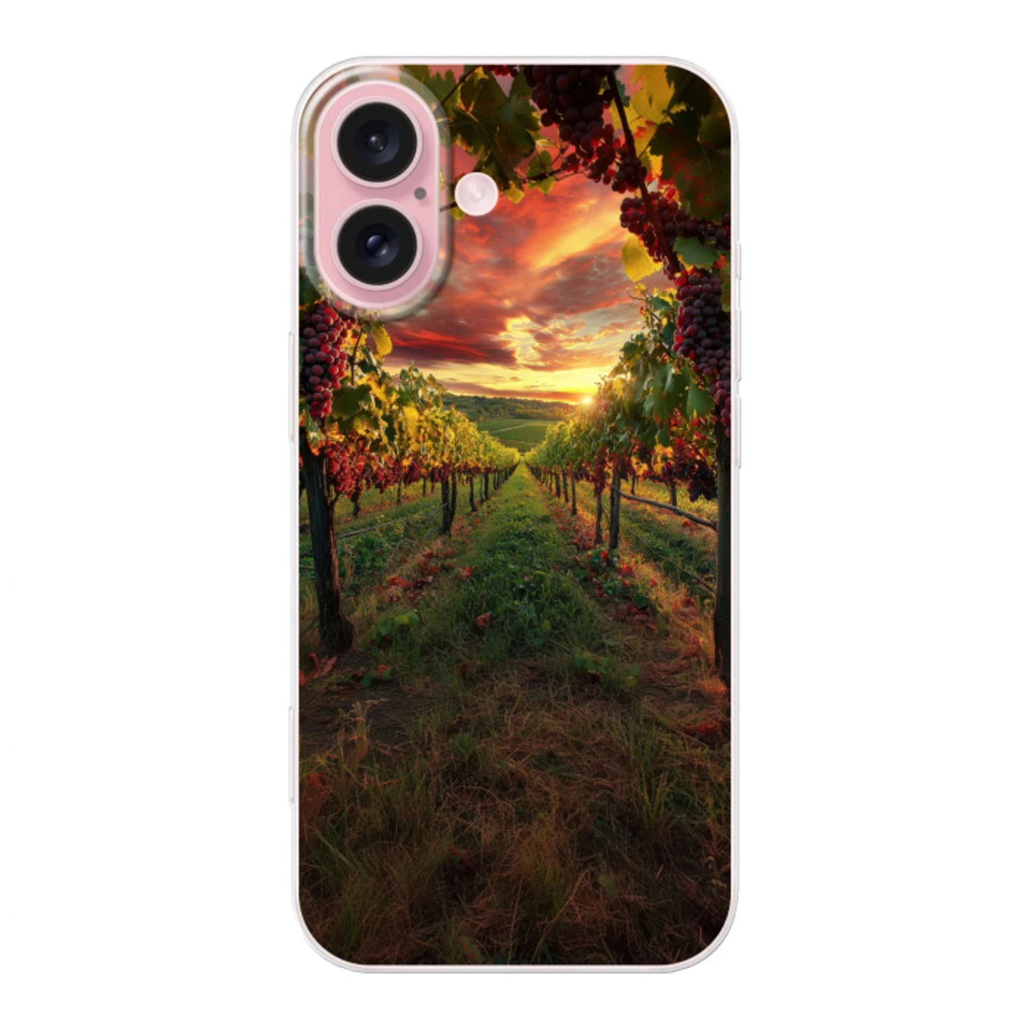 Wijngaard - Druiven - Zonsondergang Apple iPhone 16 klein -3d