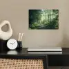 Bos - Pad - Zon - Bomen - Groen - Natuur poster papier klein -sfeer1