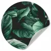 Jungle - Bladeren - Tropisch - Planten - Natuur Wandcirkel behangsticker klein -3d