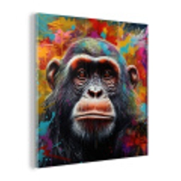 Chimpansee - Graffiti - Kleurrijk plexiglas 5mm klein -z3d