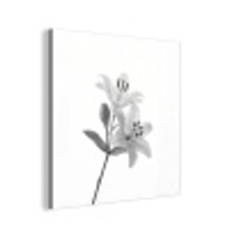 Lelies - Elegant - Zwart - Wit aluminium wit klein -3d