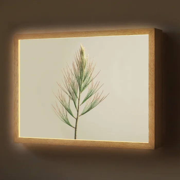 Dennentak - Naaldvormige bladeren - Lichtgroen Light Box met batterij (Wandlamp) middel -z3d_website