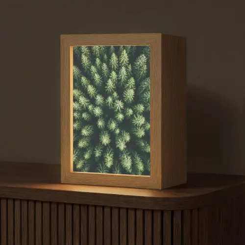 Bomen - Naaldwoud - Structuur Light Box met kabel (Tafellamp) klein -z3d_website