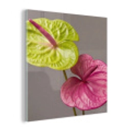 Planten - Anthurium - Groen - Roze plexiglas 5mm klein -z3d