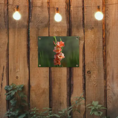 Bloem - Gladiolen - Zalmroze tuinposter los doek klein -sfeer1