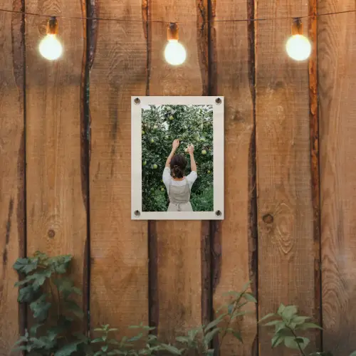 Boom - Appels - Plukken - Natuur tuinposter los doek klein -sfeer1