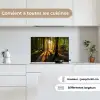 Zon - Bomen - Bos - Landschap - Natuur keuken achterwand spatscherm klein -sfeer4_FR
