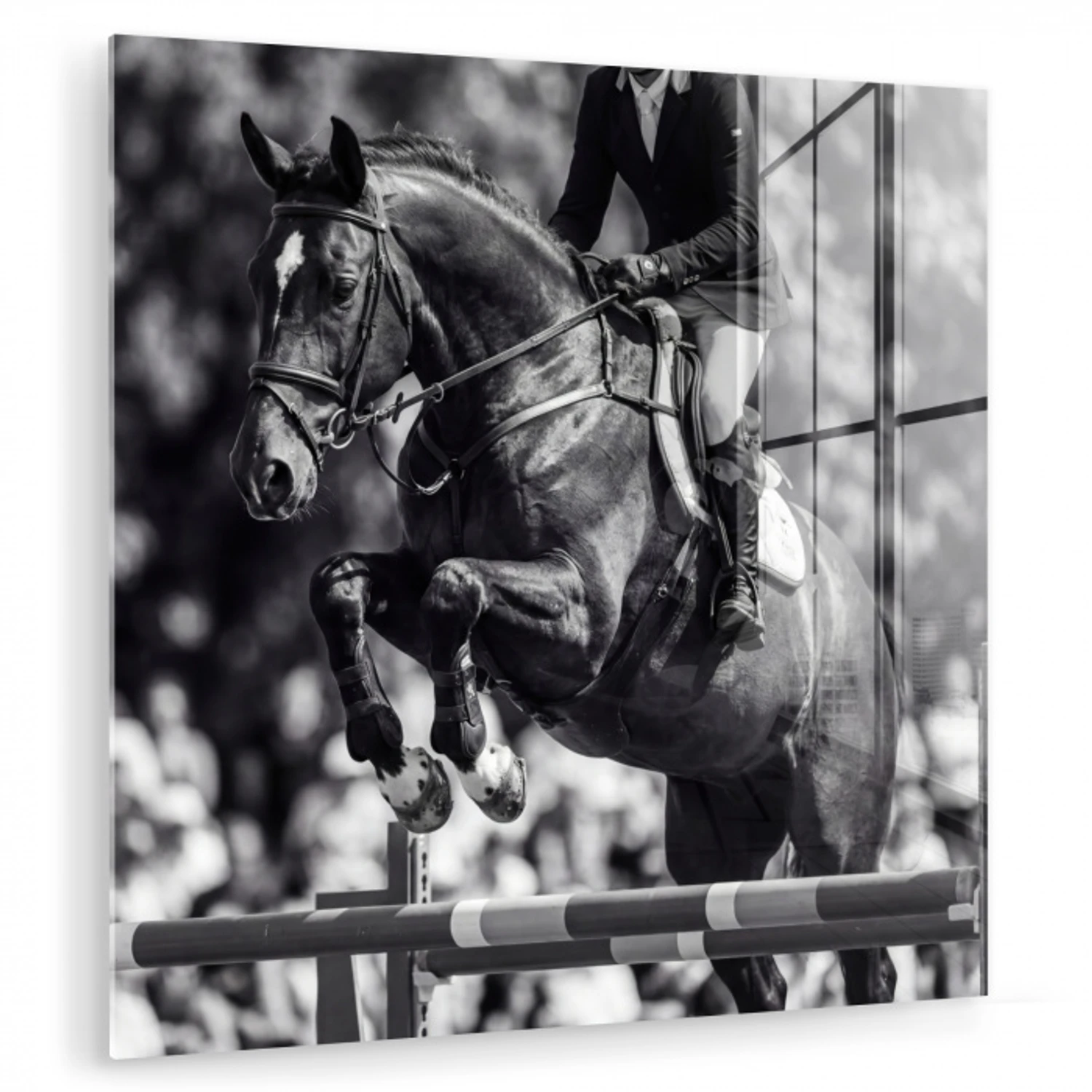 Springen - Paard - Zwart - Wit plexiglas 5mm klein -zzzproduct_nieuw