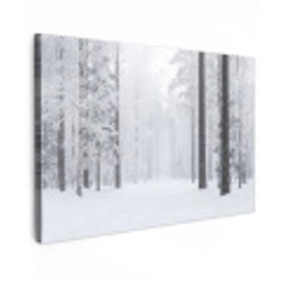 Bos - Sneeuw - Pad - Winter - Stilte canvas 2cm klein -z3d