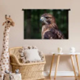 Buizerd - Roofvogel - Natuur - Bruin Wandkleed katoen middel -wsfeer5_kind