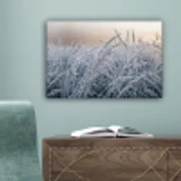 Rijp - Gras - Kristallen - Winter - Minimalistisch canvas 2cm klein -sfeer4