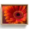 Oranje - Gerbera - Intens Dienblad Rechthoek middel -z3d_shopping