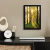 Bos - Zon - Bomen - Gras - Landschap  - Natuur fotolijst zwart zonder passe partout klein -sfeer1