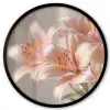 Lelies - Meeldraden - Roze - Wazig Fotolijst rond zonder passe partout klein -3d
