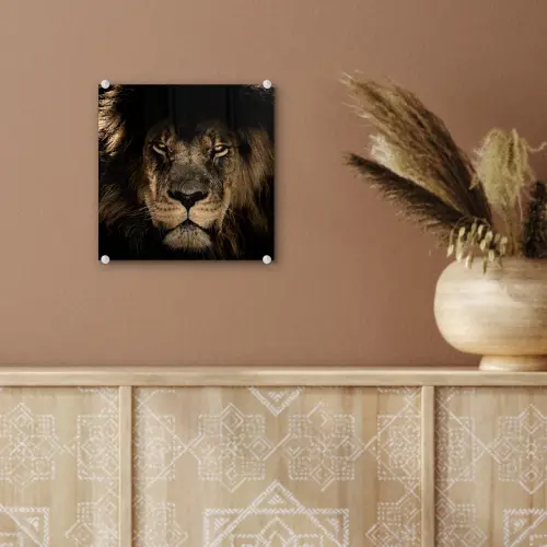 Leeuw - Dieren - Zwart - Portret plexiglas 5mm klein -sfeer5