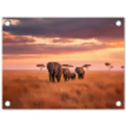 Groep olifanten - Open vlakte - Zon tuinposter los doek klein -3d