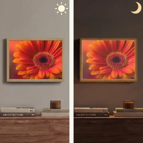 Oranje - Gerbera - Intens Light Box met batterij (Wandlamp) middel -sfeer3