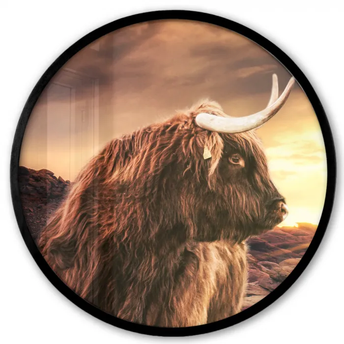 Schotse hooglander - Zon - Horizon - Koe - Dieren Fotolijst rond zonder passe partout klein -3d