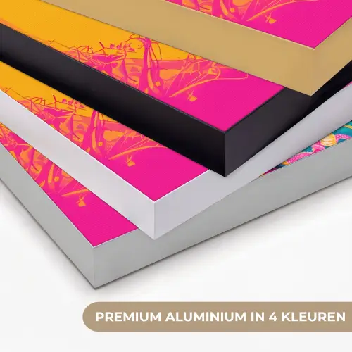 Bloemen - Vrouw - Kimono - Roze Textielframe zwart klein -USP_kleurenNL