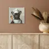 Bril - Hond - Kok plexiglas 5mm klein -sfeer5