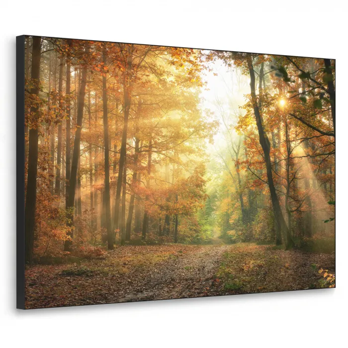 Bos - Herfst - Zon - Landschap - Natuur - Bomen - Bladeren Textielframe - compleet frame klein -3d