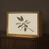 Tak - Groene Bladeren - Vruchten Light Box met kabel (Tafellamp) klein -z3d_website