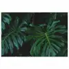 Monstera - Jungle - Bladeren poster papier klein -3d