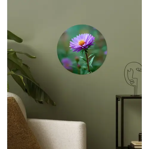 Aster - Paars - Bloem - Blaadjes Wandcirkel behangsticker klein -sfeer2