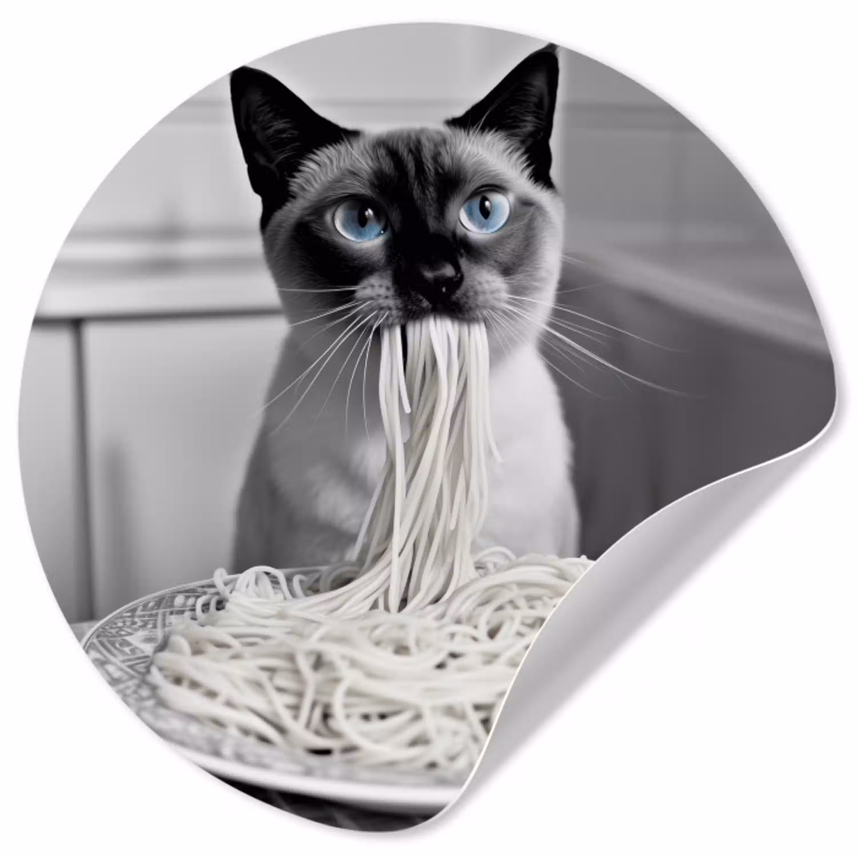 Kat - Siamees - Zwart Wit - Schattig - Dieren Wandcirkel behangsticker klein -3d