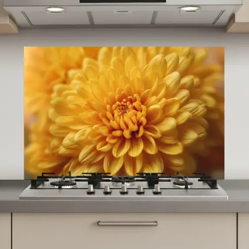 Geel - Chrysant - Zachtheid keuken achterwand spatscherm klein -3d_website
