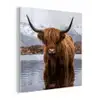 Schotse hooglander - Bruin - Water plexiglas 5mm klein -z3d