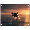 Orka - Zee - Zonsondergang tuinposter los doek klein -3d
