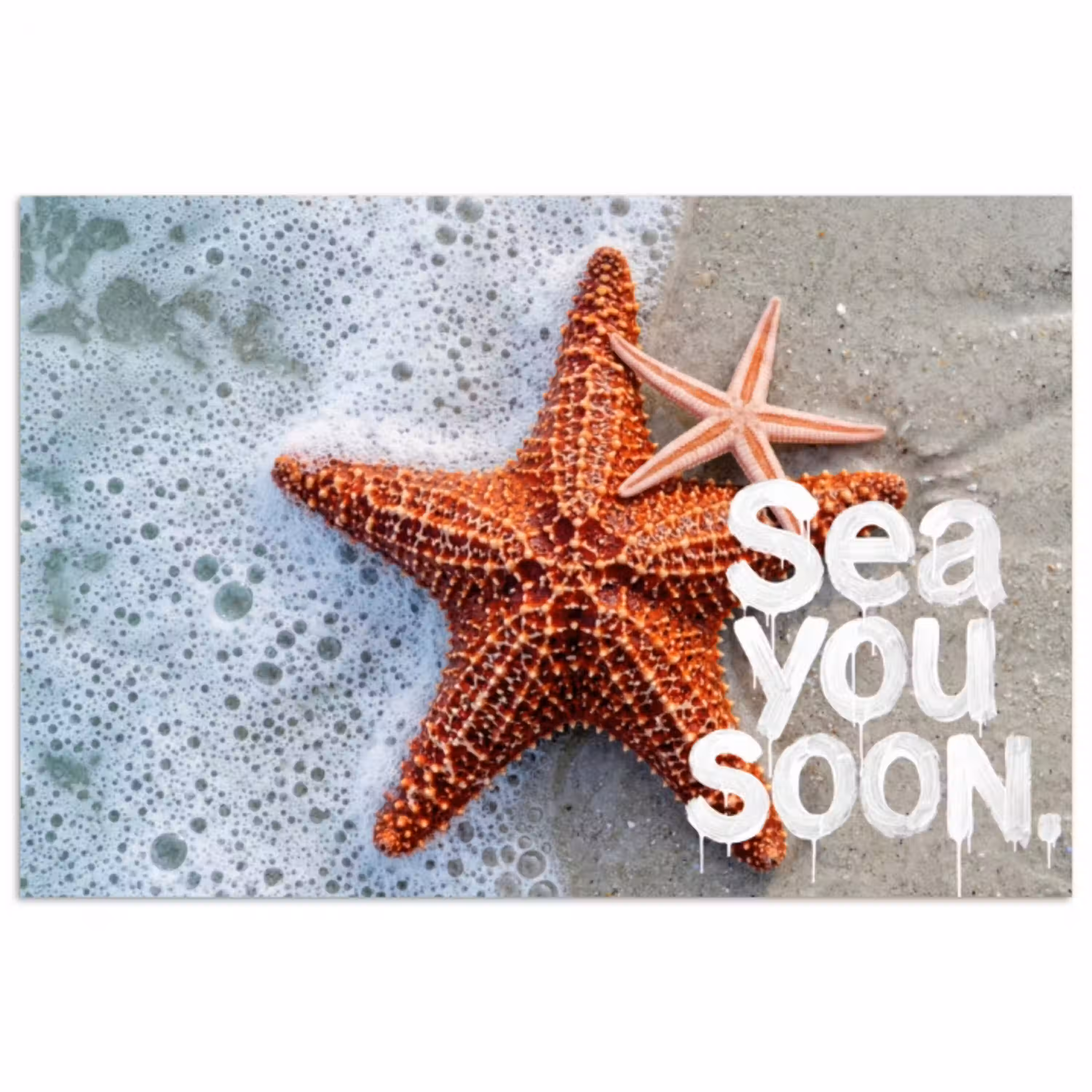 Sea you soon - Zeester - Zee poster papier klein -3d