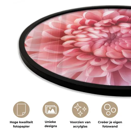 Dahlia - Bloem - Close up - Roze Fotolijst rond zonder passe partout klein -closeup_NL