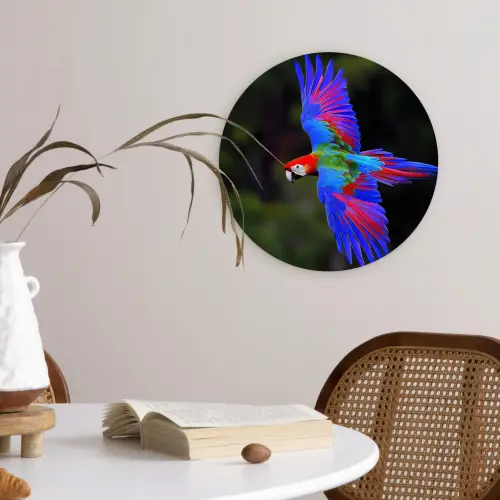 Felgekleurd - Papegaai - Bos - Vleugels Wandcirkel kunststof plaat 5mm dik klein -sfeer4
