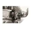 Eland - Auto - Gewei - Zwart - Wit Muursticker klein -3d