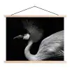 Kraanvogel - Zwart - Wit - Vogel - Dieren textielposter latten blank klein -3d