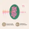 Abstract - Pink - Lijnen - Groen Akoestische PET Vilt - Rond klein -USP_NL