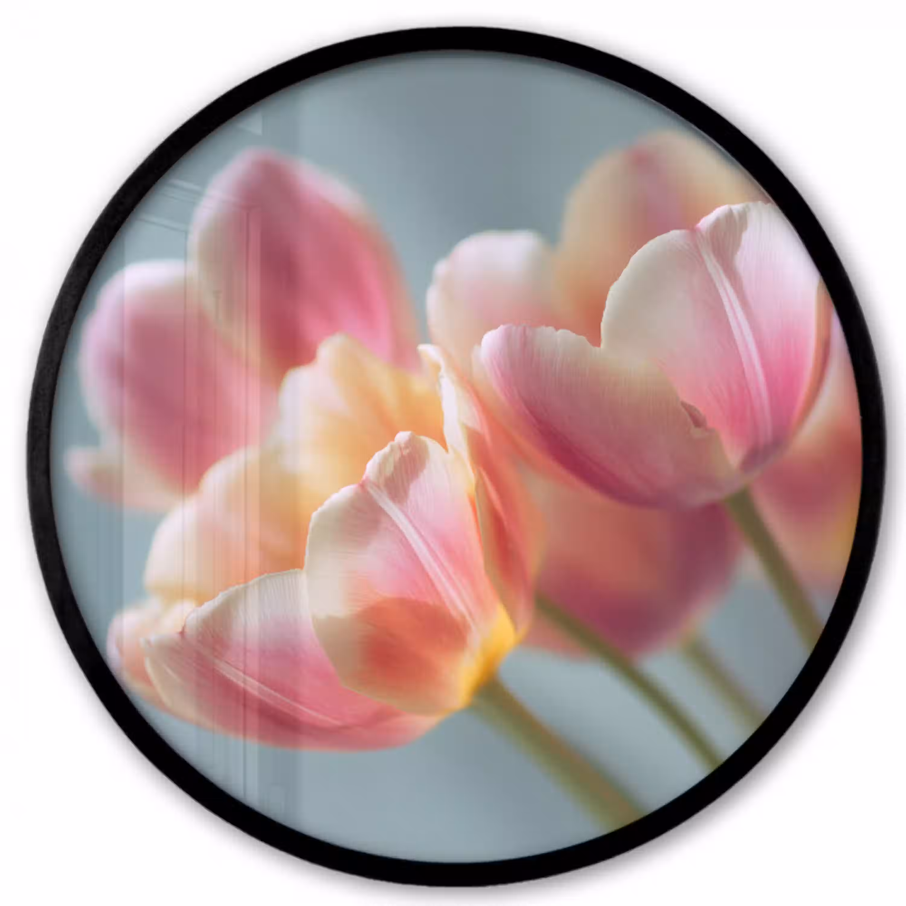 Tulpen - Roze - Stelen Fotolijst rond zonder passe partout klein -3d