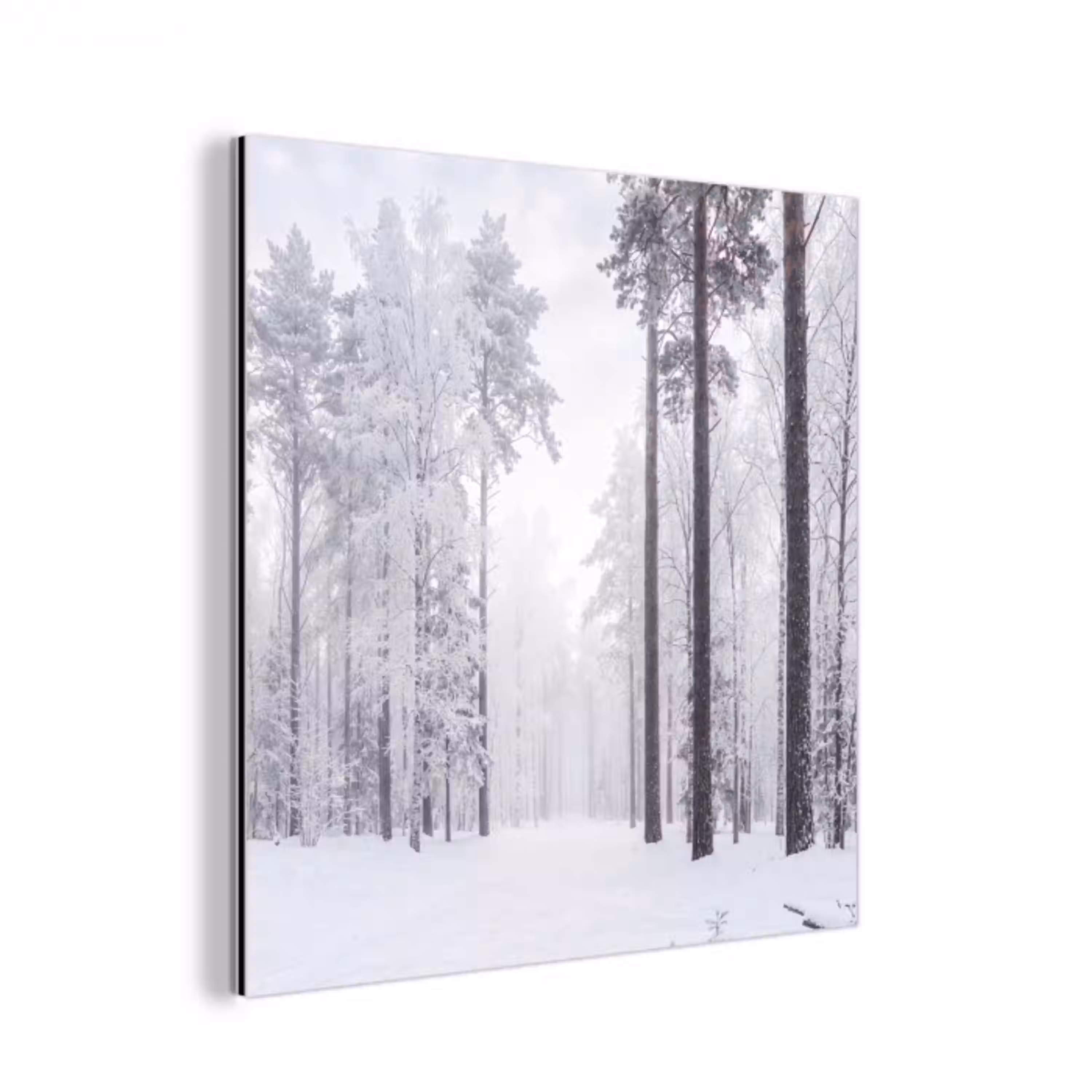 Bos - Sneeuw - Pad - Winter - Stilte aluminium wit klein -3d