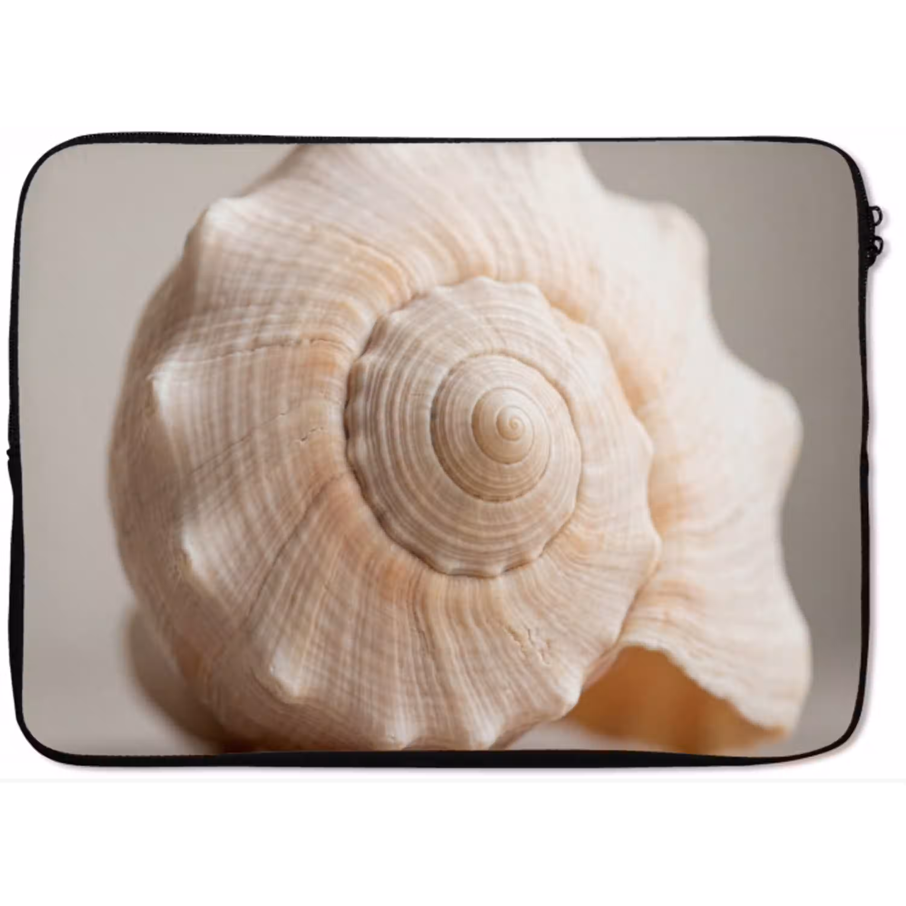 Schelp - Detail - Beige laptophoes neopreen klein -zkaufland3dotto