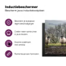 Schapen - Rij - Weide - Dieren - Platteland Inductie beschermer vinyl 3mm klein -zzzzzzz-cc-usp
